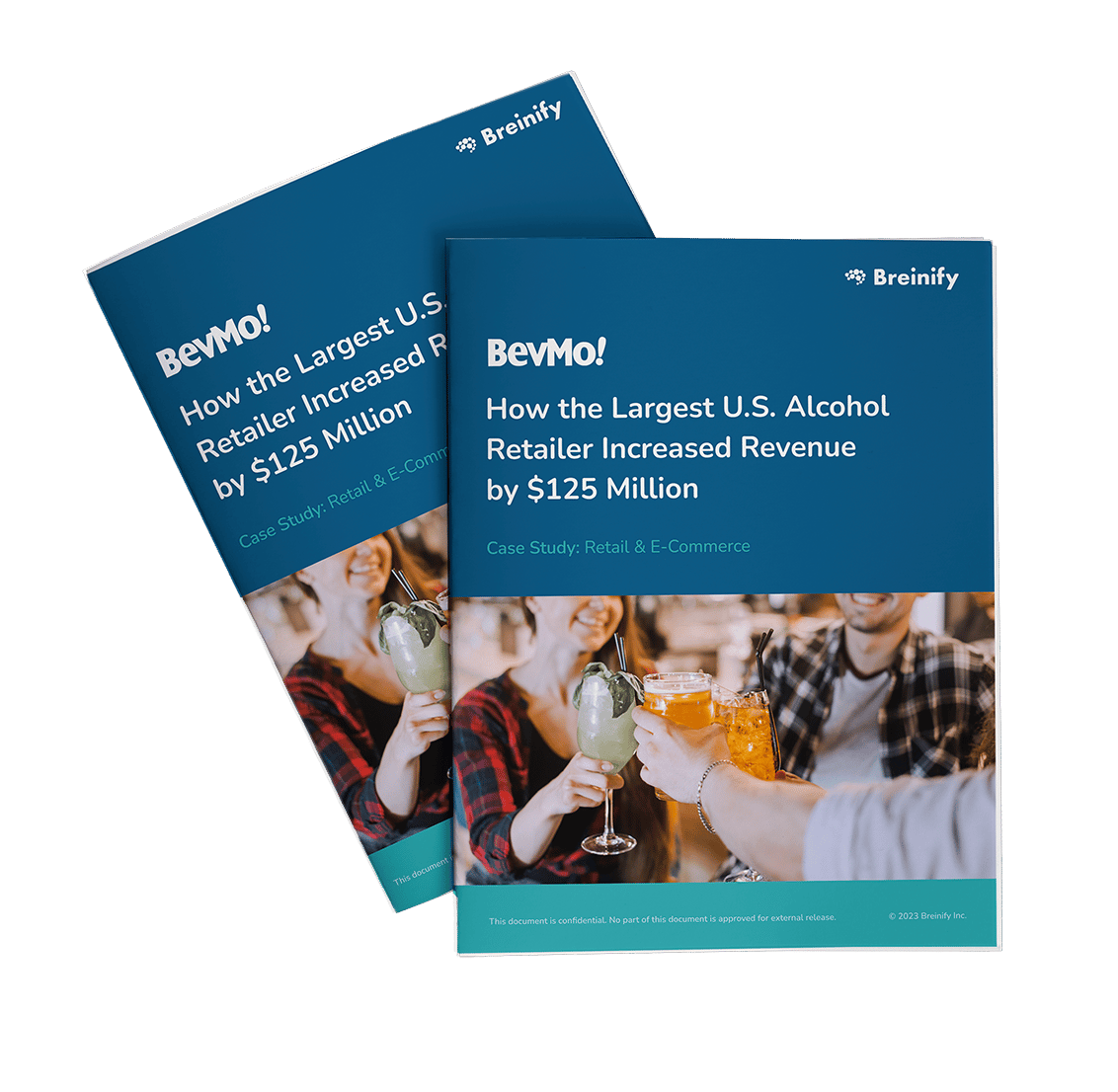 bevmo-case-study-download